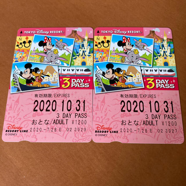 Disney(ディズニー)のTDL リゾートライン　チケット　2枚　使用済み チケットの施設利用券(遊園地/テーマパーク)の商品写真