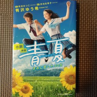 小説映画青夏 きみに恋した３０日(絵本/児童書)