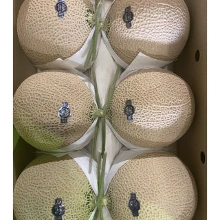 静岡　高級アールスメロン　白6玉 隔離栽培　アローマ(フルーツ)
