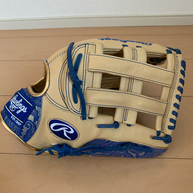 Rawlings(ローリングス)のローリングス  ペイズリー柄　軟式　外野用　新品未使用 スポーツ/アウトドアの野球(グローブ)の商品写真