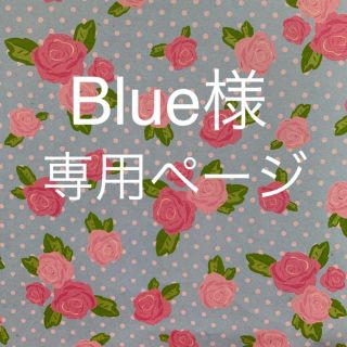 セクシー ゾーン(Sexy Zone)の※ Blue様 専用(アイドルグッズ)