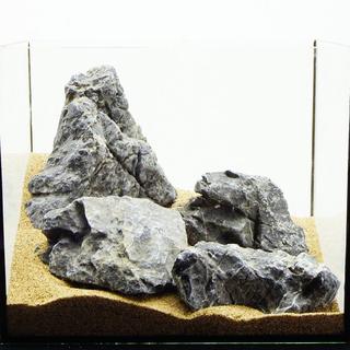 青龍石セット 25水槽 12-16cm  SS169 アクアリウム テラリウム(アクアリウム)