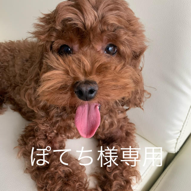 ポテチ♡様専用 ポテチ♡様専用