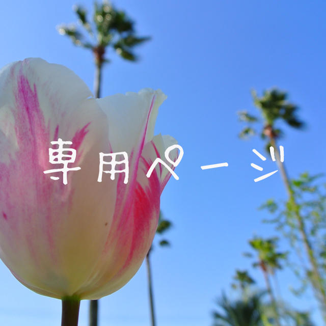 みゆさん専用