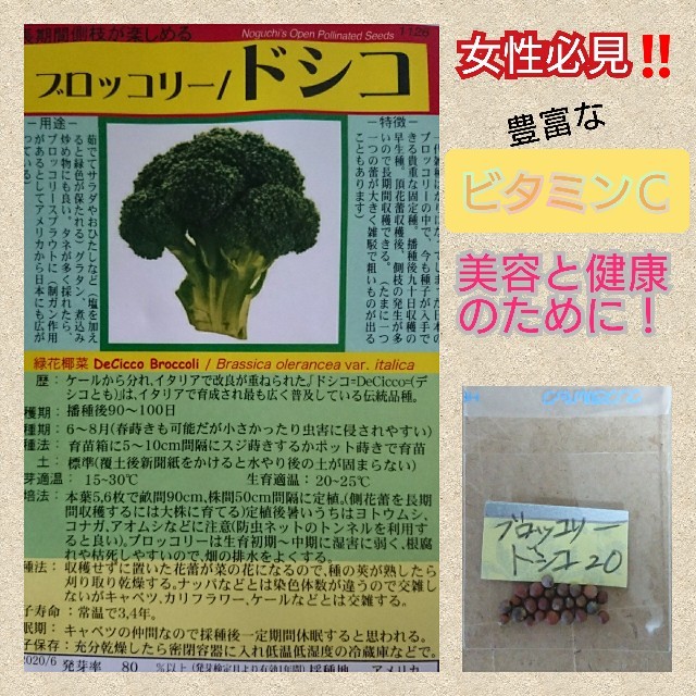 ブロッコリー ドシコ 野菜の種 ハーブの種 有機種子 固定種 在来種 食品/飲料/酒の食品(野菜)の商品写真