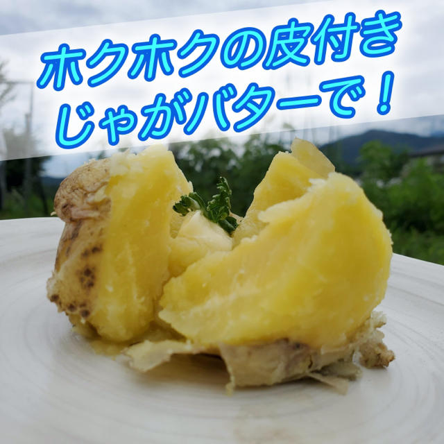 じゃがいも 新じゃが 無農薬 夏野菜 長野県あづみ野産 食品/飲料/酒の食品(野菜)の商品写真