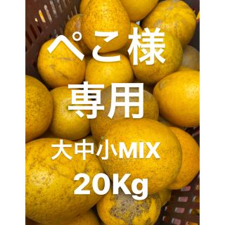 ぺこ様専用　訳あり品　愛媛　低農薬　宇和ゴールド20Kg   河内晩柑(フルーツ)