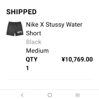 ステューシー(STUSSY)のステューシー　Stussy&Nike WaterShort black Mサイズ(ショートパンツ)