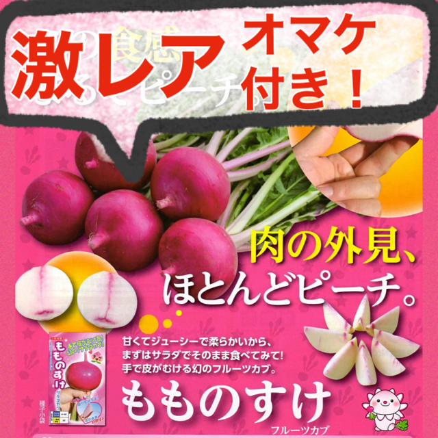 【オマケ付‼️】幻のサラダカブ もものすけの種 10粒 野菜 かぶ 家庭菜園 種 食品/飲料/酒の食品(野菜)の商品写真