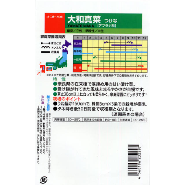 【オマケ付‼️】幻のサラダカブ もものすけの種 10粒 野菜 かぶ 家庭菜園 種 食品/飲料/酒の食品(野菜)の商品写真