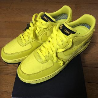 ナイキ(NIKE)のNIKE air force 1 gtx gore tex 29(スニーカー)