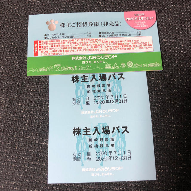 読売ジャイアンツ(ヨミウリジャイアンツ)のよみうりランド 株主優待券1冊 プールWAI チケットの施設利用券(遊園地/テーマパーク)の商品写真