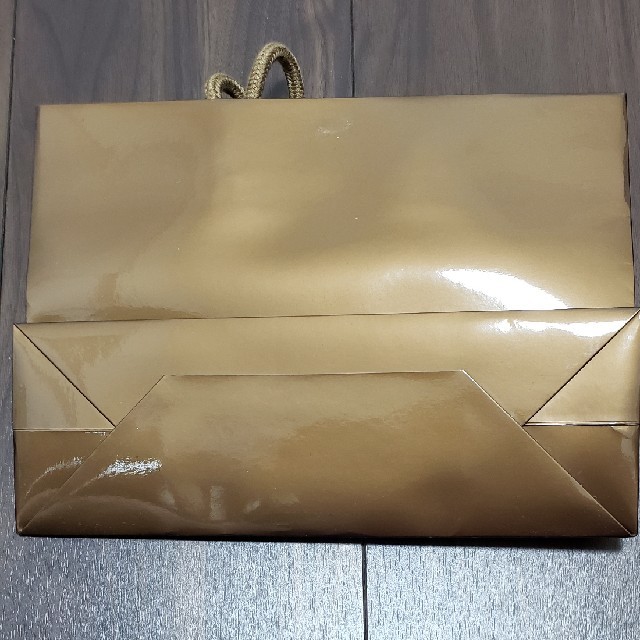 Gucci(グッチ)のGUCCI紙袋+おまけリボン レディースのバッグ(ショップ袋)の商品写真