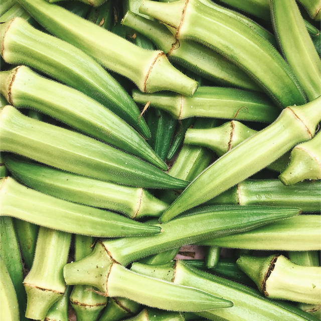 朝採り　おくら 食品/飲料/酒の食品(野菜)の商品写真