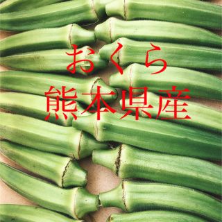 朝採り　おくら(野菜)