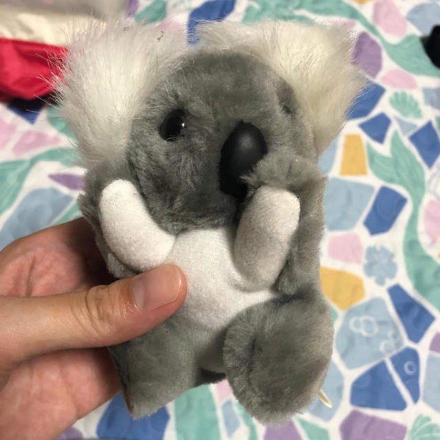コアラ ぬいぐるみ 缶 オーストラリア