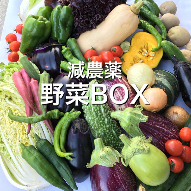 野菜BOX 4kg   関西料金 食品/飲料/酒の食品(野菜)の商品写真