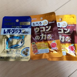 ハウスショクヒン(ハウス食品)のウコンの力 レバープラス セット(その他)