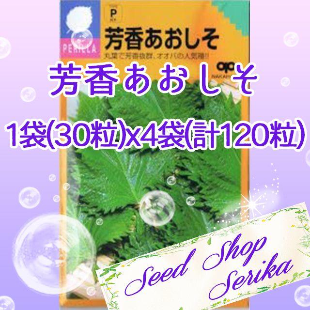 ㉘芳香あおしそ 30粒×4袋(120粒) ハーブ 種 ハンドメイドのフラワー/ガーデン(その他)の商品写真