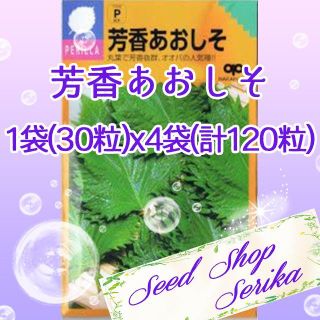 ㉘芳香あおしそ 30粒×4袋(120粒) ハーブ 種(その他)