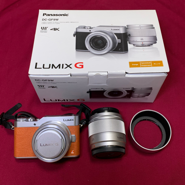 パナソニック Lumix DC-GF9W ダブルズームキットミラーレス一眼