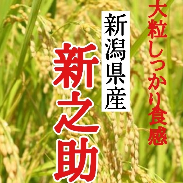 産直 新潟県産新之助 白米9㎏(令和元年産)