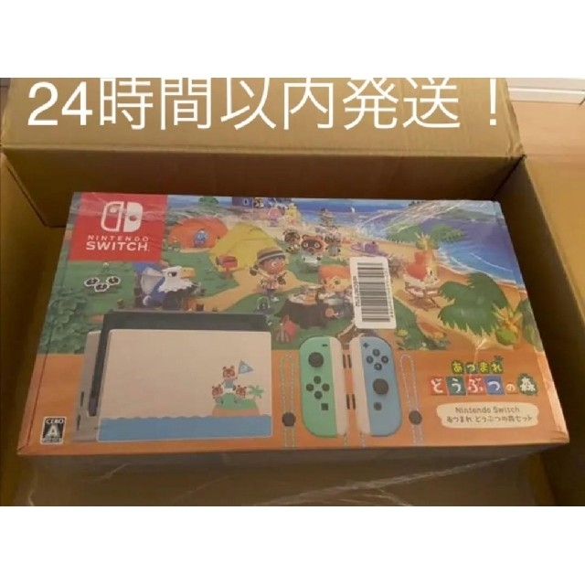 Nintendo Switch ニンテンドースイッチあつまれ どうぶつの森セットNintendo