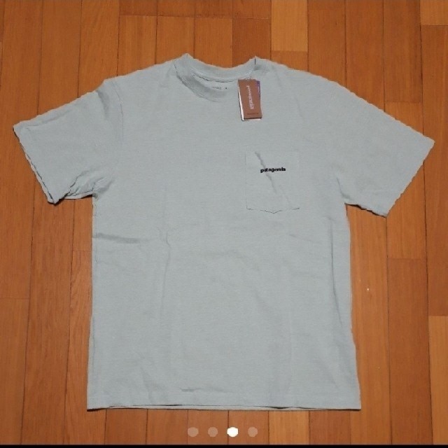 patagonia(パタゴニア)の完売品　パタゴニア　Tシャツ メンズのトップス(Tシャツ/カットソー(半袖/袖なし))の商品写真