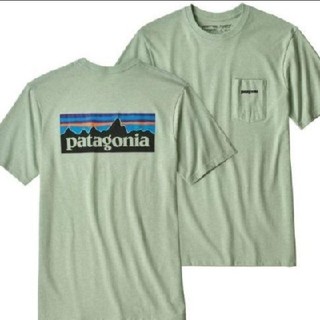 パタゴニア(patagonia)の完売品　パタゴニア　Tシャツ(Tシャツ/カットソー(半袖/袖なし))