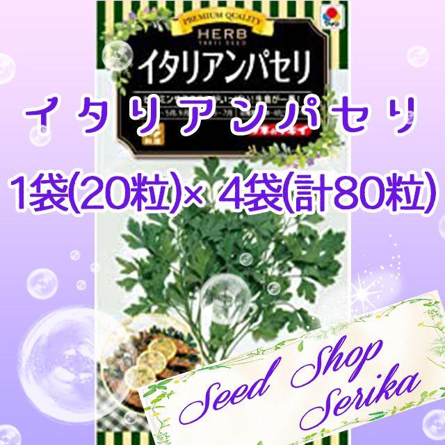 ㊱イタリアンパセリ20粒 ×4袋(80粒) ハーブ 種 ハンドメイドのフラワー/ガーデン(その他)の商品写真