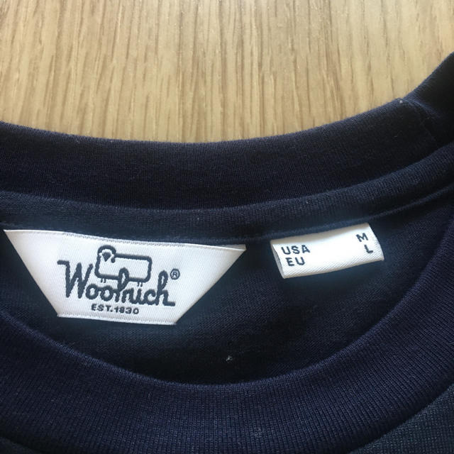 WOOLRICH(ウールリッチ)のSR様専用　ウールリッチ　Tシャツ メンズのトップス(Tシャツ/カットソー(半袖/袖なし))の商品写真