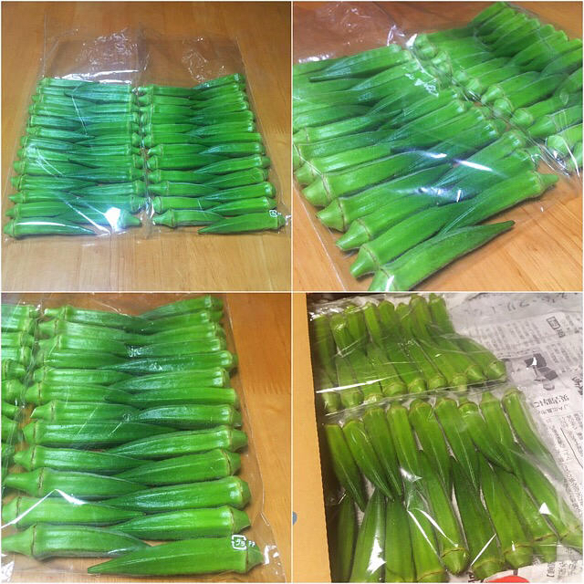 広島県産新鮮夏野菜 鮮度抜群朝採り&夕採 旬の夏野菜自家製オクラ50本セット 食品/飲料/酒の食品(野菜)の商品写真