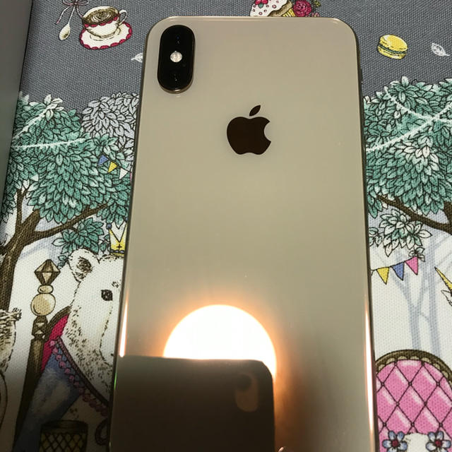 iPhoneXS 256G