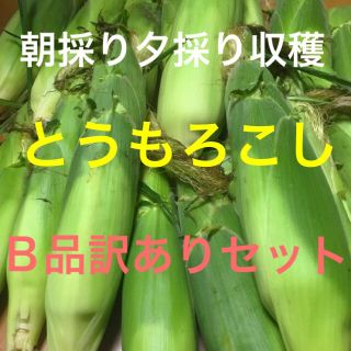 B品訳あり新鮮夏野菜広島県産とうもろこし皮付き４本セット(野菜)