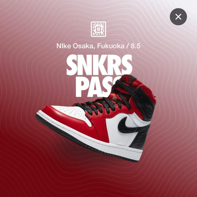 Nike Air Jordan satin red 26.0cm