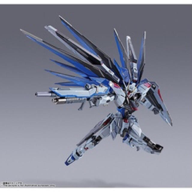 METAL BUILD 機動戦士ガンダムSEED フリーダムガンダム