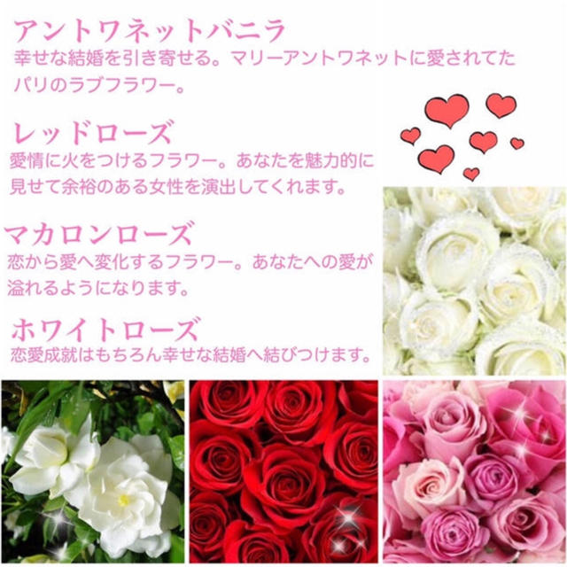 Ameri VINTAGE(アメリヴィンテージ)の[最強(+¥1555)込]♡Kさま専用♡ その他のその他(その他)の商品写真