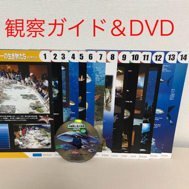 ステイホームで旅行気分♪ケロッグオリジナルDVD３点セット☆非売品☆ エンタメ/ホビーのDVD/ブルーレイ(その他)の商品写真