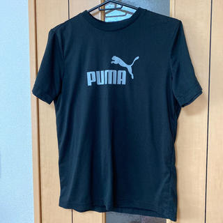 プーマ(PUMA)の⭐︎PUMA プーマ Tシャツ　160くらい(その他)