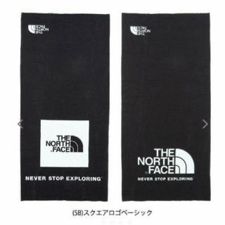 ザノースフェイス(THE NORTH FACE)の【新品未使用】ノースフェイス ジプシーカバーイット  NN02077 カラーSB(その他)