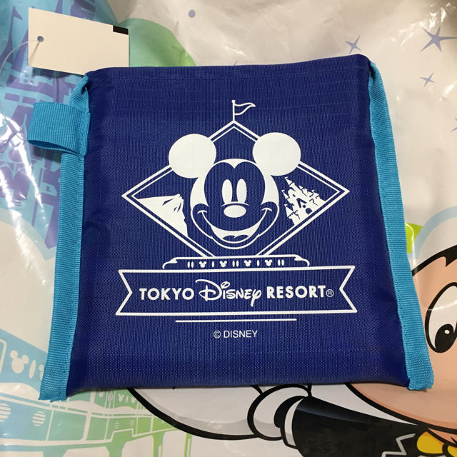 Disney(ディズニー)のディズニーリゾート　ショッピングバッグ　エコバッグ エンタメ/ホビーのおもちゃ/ぬいぐるみ(キャラクターグッズ)の商品写真