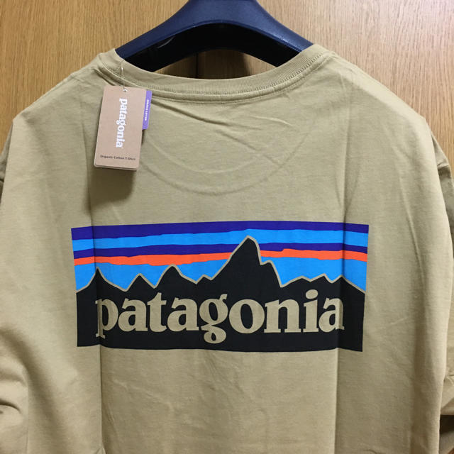 patagonia(パタゴニア)の新品タグ付 パタゴニア オーガニックコットンTシャツ ロゴ L メンズのトップス(Tシャツ/カットソー(半袖/袖なし))の商品写真