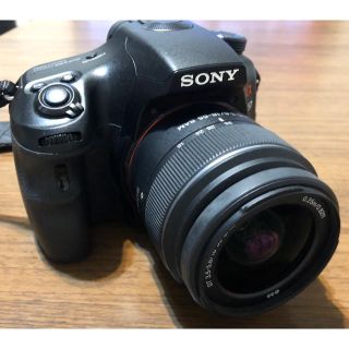 ソニー(SONY)のSONY SLT α57(デジタル一眼)