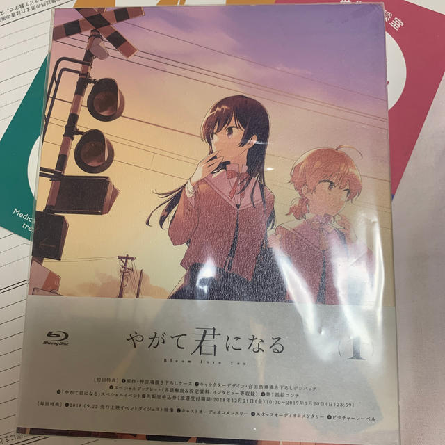 やがて君になる（1） Blu-ray | hmgrocerant.com