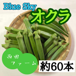熊本県八代産 新鮮オクラ(ブルースカイ) 約60本(野菜)