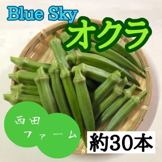 熊本県八代産 新鮮オクラ(ブルースカイ)約30本(野菜)