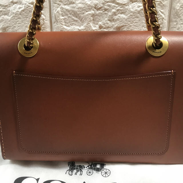 COACH(コーチ)のshibaken様専用　コーチ パーカー ストロー カラーブロック レディースのバッグ(ショルダーバッグ)の商品写真