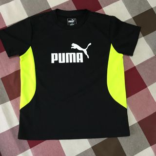 プーマ(PUMA)のプーマ　半袖　カットソー(Tシャツ/カットソー)