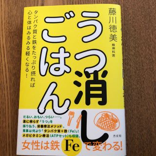 うつ消しごはん タンパク質と鉄をたっぷり摂れば心と体はみるみる軽く(健康/医学)