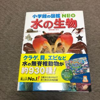 ショウガクカン(小学館)の小学館の図鑑NEO  水の生物(絵本/児童書)